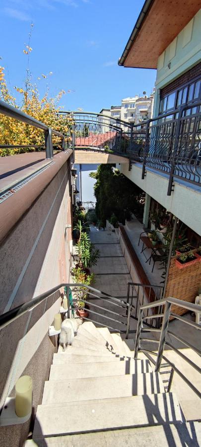 Apartment Lux *