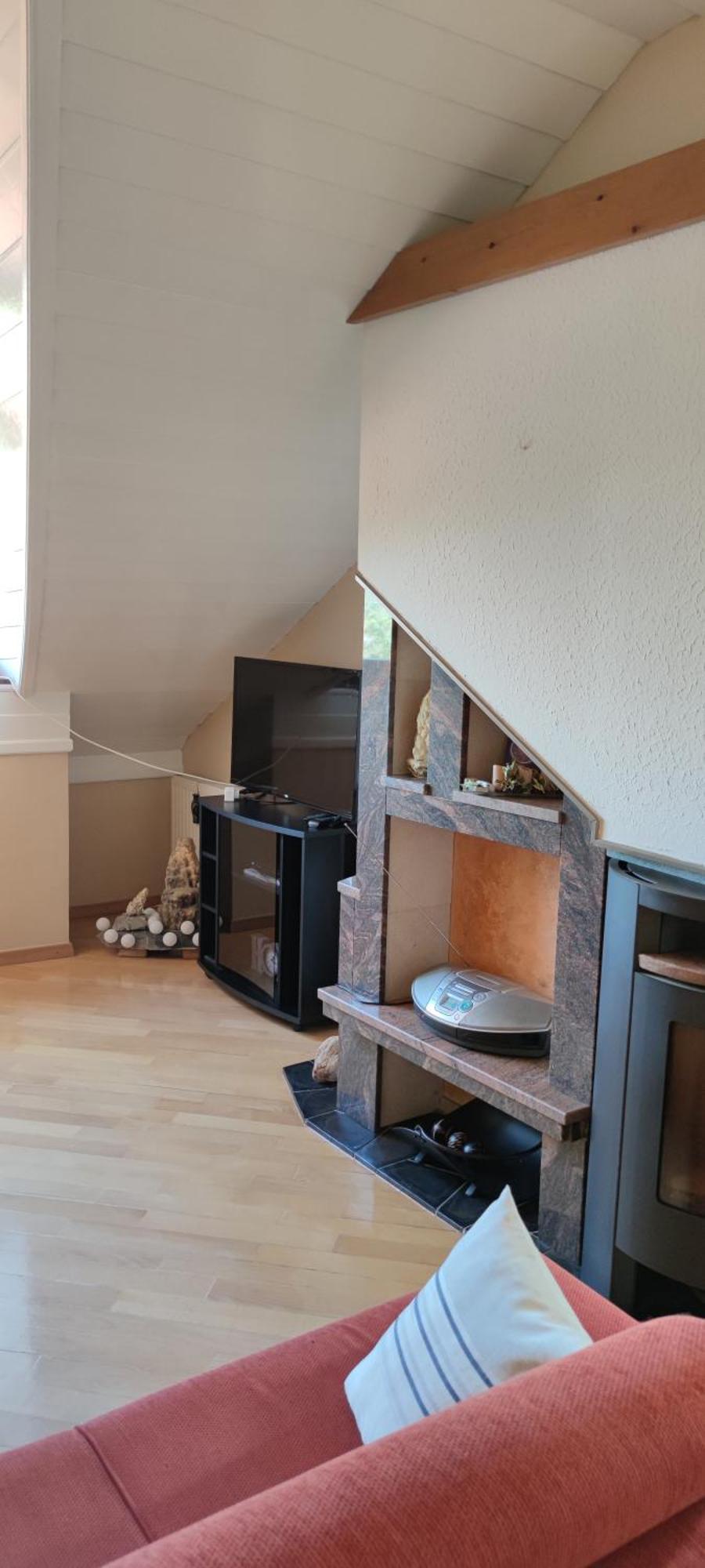Apartment Lux